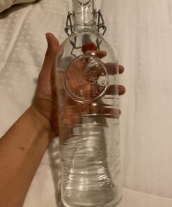 Bormioli Rocco Officina Water Bottle | 37.25 oz, Italian Glass Pitcher | Airtight Seal & Metal Clamp | Easy To Carry Handle, Dishwasher Safe & Eco-Friendly | Safe For Infused & Carbonated Drinks 32 B1bkVoMwQLS
