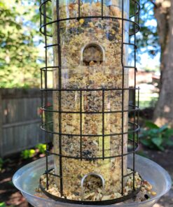 Lyric Fine Tunes Wild Bird Seed - No Waste Bird Food Mix - Attracts Bluebirds, Finches, Chickadees & More - 15 lb. Bag 15.00 Pound (Pack of 1) Seed Mix 44 B1cnoxwIDOS