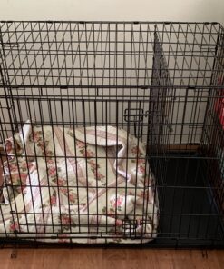 MidWest Homes for Pets Large Dog Crate | MidWest Life Stages Double Door Folding Metal Crate | Divider Panel, Floor Protecting Feet, Leak-Proof Pan | 42L x 28W x 31H Inches For Large Dog Breed 42.0"L x 28.0"W x 30.0"H Lifestages; Double Door 42 B1dcORftiS