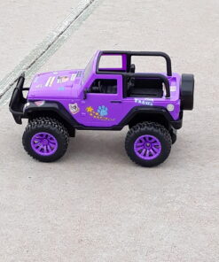 Jada Toys GIRLMAZING Jeep R/C Vehicle (1:16 Scale), Purple 68 B1e0eZXf3JS