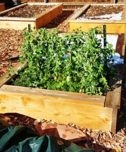 the Planket 11200 10 x 20 ft Frost Protection Plant Cover, Rectangular, Dark green 10 ft x 20 ft 31 B1e91Rxy dS