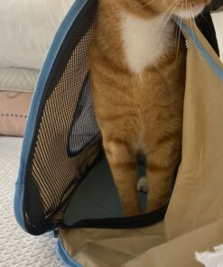 Necoichi Portable Stress Free Cage Carrier and Litter Box, Indoor & Outdoor, Travel (Beige, Carrier) Beige 34 B1eTMN8JBKS