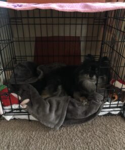 Paws & Pals Dog Crate, 24" Pet Cage, Wire Metal Kennel, with Tray, Foldable & Portable, Durable Steel Wire, Easy Setup, Ideal for Puppies & Kittens, Black 24.0"L x 16.0"W x 20.0"H 35 B1fNAr1BEvS