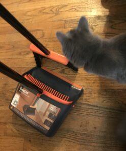 TreeLen Broom and Dustpan Set with 52" Long Handle for Home Kitchen Room Office Lobby Floor Use Upright Stand Up Stand Up Broom with Dustpan Combo A Orange Broom and Dustpan 43 B1gEajFzLKS