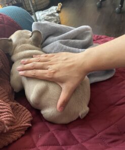 Medvice 2 Reusable Hot and Cold Ice Packs for Injuries, Joint Pain, Muscle Soreness and Body Inflammation - Reusable Gel Wraps - Adjustable & Flexible for Knees, Back, Shoulders, Arms and Legs 36 B1gOKiFn DS 1