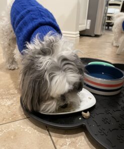 Ancestral Supplements Grass Fed Beef Kidney Supplement, 3000mg, DAO Enzyme Supplement, Kidney Support for Urinary and Histamine Health, Selenium, B12, Non GMO, 180 Capsules 180 Count (Pack of 1) 32 B1gU3Y6Er7S