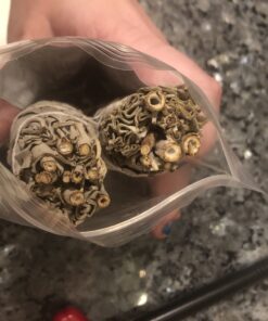 Premium White Sage Smudge Sticks, Sage Bundle, Spiritual Cleansing, Sage Smudge Kit, Slow Burning Sage Sticks, Dried Herbs for Meditation Accessories 3 Pk of 4" Bundles - Alternative Imagination 3 Pack - 4 Inch 46 B1gUNDfF mS