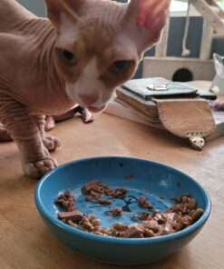 Purina Cat Chow Naturals With Added Vitamins, Minerals and Nutrients Dry Cat Food, Naturals Original - 13 lb. Bag Chicken & Salmon 13.00 Pound (Pack of 1) 42 B1gcUhKqSSS