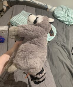 Wild Republic Raccoon Plush, Stuffed Animal, Plush Toy, Gifts for Kids, Cuddlekins 12 Inches 43 B1gdtpTnCnS