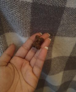 Hill's Grain Free Dog Treats, Soft-Baked Naturals with Beef & Sweet Potatoes, Soft Healthy Dog Snacks, 8 oz. Bag 34 B1jCsxxQAS