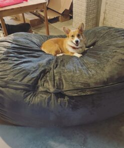 Amazon Basics Memory Foam Filled Bean Bag Lounger with Microfiber Cover, 6 ft, Grey, Solid 39 B1jJdPCjIIS