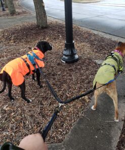 Pet Fit For Life 64" Premium Two Dog Leash: Premium Double Leash for Dogs, Provides Control and Comfort - Durable Foam Rubber Handle, Shock Absorbing Cord - Includes Bonus Collapsible Water Bowl Large 43 B1jb6VSlngS