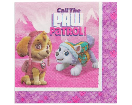 American Greetings Paw Patrol, Lunch Napkins, 16-Count Multicolored