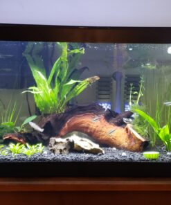 Tetra SafeStart Plus, For Newly Set-Up Fish aquariums, 100 ml, 3.38-Ounce 23 B1kMYctXIhS