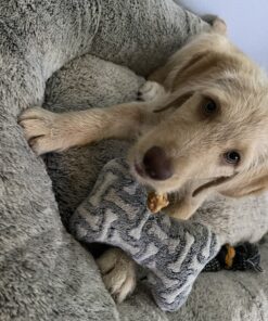 Pet 'n Shape Chik 'N Rice Dumbbells - All Natural Dog Treats, Chicken, 32 oz 2 Pound (Pack of 1) 42 B1kRpIuUmpS