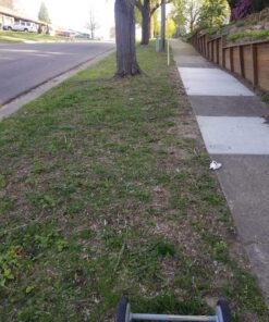 Great States 415-16 16-Inch Reel Mower Standard Full Feature Lawn Mower with T-Style Handle and Heat Treated Blades 16-Inch, 5-Blade Reel Only 44 B1kwRvJV0qS