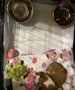 Paws & Pals Dog Crate, 24" Pet Cage, Wire Metal Kennel, with Tray, Foldable & Portable, Durable Steel Wire, Easy Setup, Ideal for Puppies & Kittens, Black 24.0"L x 16.0"W x 20.0"H 36 B1l8TacEjDS