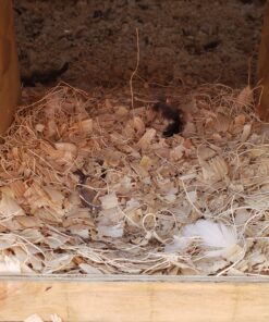 MagJo Premium Aspen 12 Pack Excelsior Nesting Liners (12 Pack), Chicken Bedding for Nesting Box, Nesting Pads Box Liners, Chicken Bedding for coop, Chick Bedding, USA Grown & Sustainably Harvested 36 B1ldOPzrYPS