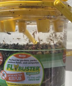 Flybuster Fly Trap - Outdoor Living, Fly Trap, Pest Control Trap for Garden 27 B1lg9aaOK S