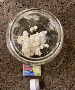 Live Milk Kefir Grains - Live Probiotic Culture 32 B1lyW1czZ S