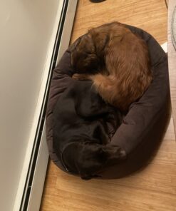 Majestic Pet 40 Inch Suede Calming Dog Bed Washable – Cozy Soft Round Dog Bed with Spine Support for Dogs to Rest their Head - Fluffy Donut Dog Bed 40x29x9 (Inch) - Round Pet Bed Large – Chocolate 40 in. 34 B1mC bZUaES