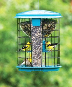 Hiatt Manufacturing Stokes Select Small Squirrel Resistant Hopper Bird Feeder (Set of 2) 5 B1mYmUPewgS