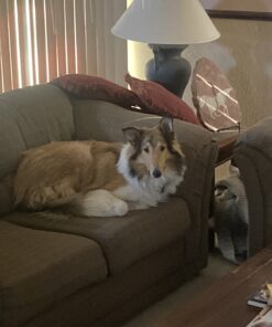 Alternative view of MUTT MITT Dog Waste Pick Up Bag, 100-Count 100 Units