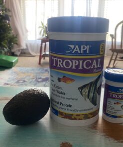 API TROPICAL FLAKES Fish Food 5.7-Ounce Container 5.7 Ounce (Pack of 1) 30 B1npaN0hkLS