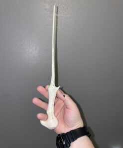 Vallejo Basic USA Acrylic Colors Paint Set, 17ml, Assorted Colors, 0.57 Fl Oz (Pack of 16) 37 B1pkbFuKAYS