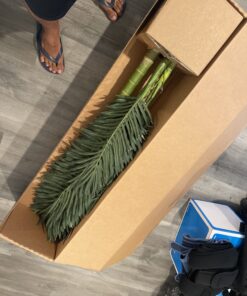 Nearly Natural 5289 6.5ft. Golden Cane Palm Silk Tree,Green 51 B1po6mbYaTS