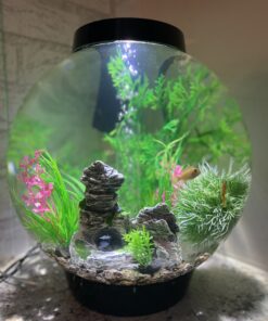 biOrb CLASSIC 15 Aquarium with LED - 4 gallon, Black 29 B1py3ZmNGQS