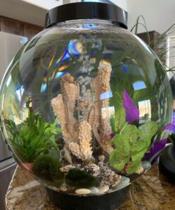 biOrb CLASSIC 15 Aquarium with LED - 4 gallon, Black 20 B1qPO3FslES