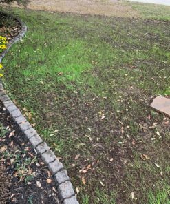 Jonathan Green (10840) Fast Grow Grass Seed - Cool Season Lawn Seed (7 lb) 7 pounds 24 B1rOMWikSMS