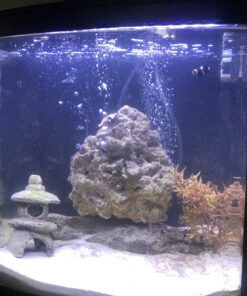 Chemi-Clean - 2 g 2g 62 B1rP4cjm1MS