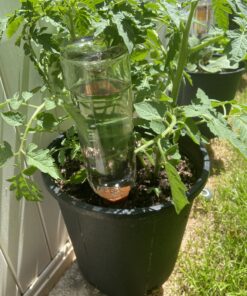 REMIAWY Plant Watering Stakes 6 Pack Automatic Plant Waterers for Vacations, Plant Watering Devices Terracotta Self Watering Spikes for Wine Bottles Great Watering Spikes for Indoor & Outdoor Plants 43 B1rW5tLVOS 4