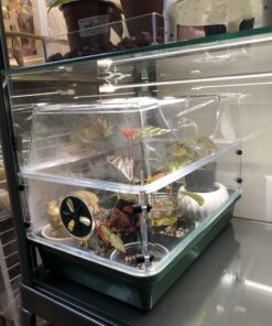 EarlyGrow 93763 Medium Seed and Herb Domed Propagator with Vented Side Height Extension, Extender, Green Medium with Side Extender 43 B1rbOdGUTYS