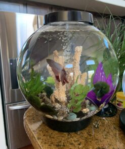 biOrb CLASSIC 15 Aquarium with LED - 4 gallon, Black 21 B1s7rvdPw2S