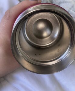 THERMOS FUNTAINER 10 Ounce Stainless Steel Vacuum Insulated Kids Food Jar, Pink 50 B1sFFkY13KS