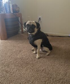 Kuoser Cozy Waterproof Windproof Reversible British Style Plaid Dog Vest Winter Coat Warm Dog Apparel for Cold Weather Dog Jacket for Small Medium Large Dogs with Furry Collar (XS - 3XL),Red M Medium (Pack of 1) Red 35 B1sX9BufFfS