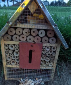 Bazos 1500 Live Ladybugs - Good Bugs - Ladybugs - Ladybugs for Garden - Guaranteed Live Delivery (1500) 20 B1tAnNnSG8S