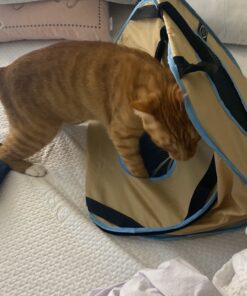 Necoichi Portable Stress Free Cage Carrier and Litter Box, Indoor & Outdoor, Travel (Beige, Carrier) Beige 35 B1tCxc2pYxS 1