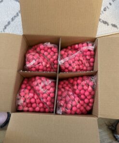 Valken Infinity Paintballs - 68cal - 2,000ct - Pink-Pink Fill 36 B1tpMMSeHyS