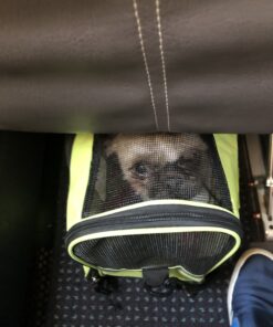 Paws & Pals Airline Approved Pet Carrier - Soft-Sided Carriers for Small Medium Cats and Dogs Air-Plane Travel On-Board Under Seat Carrying Bag with Fleece Bolster Bed for Kitten Cat Puppy Dog Taxi Green 51 B1tw SQ4 fS