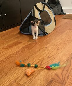 Necoichi Portable Stress Free Cage Carrier and Litter Box, Indoor & Outdoor, Travel (Beige, Carrier) Beige 44 B1uqzlcjjOS 1