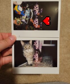 instax Wide Film Twin Pack (White) 29 B1vFw8MIIGS