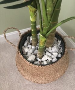 Nearly Natural 5289 6.5ft. Golden Cane Palm Silk Tree,Green 59 B1vRXSORmcS