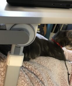 Laptop Bed Tray Desk, SAIJI Adjustable Stand for Bed, Foldable Table with Storage Drawer Eating, Working, Writing, Gaming, Drawing (Gray, X-Large) Gray 23.6 x 17.7 In 31 B1vlUUiwAQS