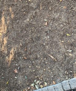 Jonathan Green (10840) Fast Grow Grass Seed - Cool Season Lawn Seed (7 lb) 7 pounds 23 B1wDRkkOS