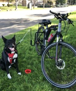 Springer Hands Free Dog Leash Bike Attachment Kit -Pet Exerciser for Running, Walking Jogging - Universal Fit for Bicycles - Quick Release, 18-Inch Rope 25 B1wI9xz2xyS