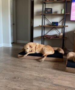 PETMAKER Orthopedic Memory Foam Pet Bed with Bolster, Large 45" x 32" 23 B1wPxa2WQSS